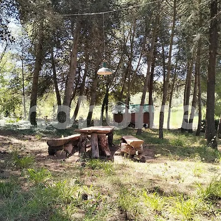 Casolare Il Vecchio Tatil Evi *