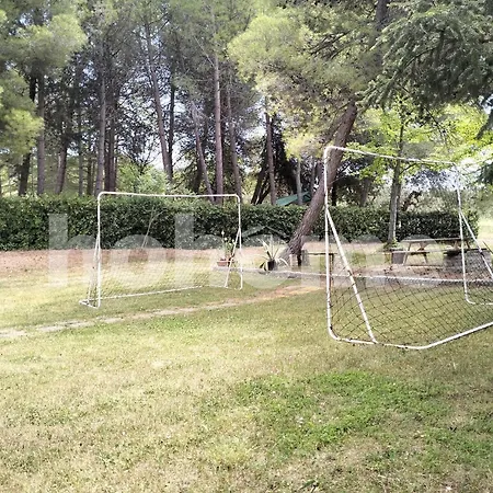 Casolare Il Vecchio *