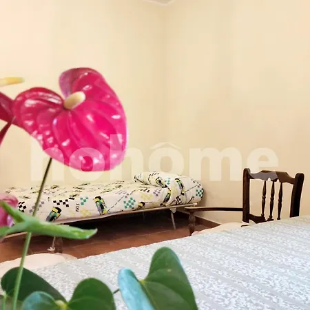 Casolare Il Vecchio Tatil Evi *